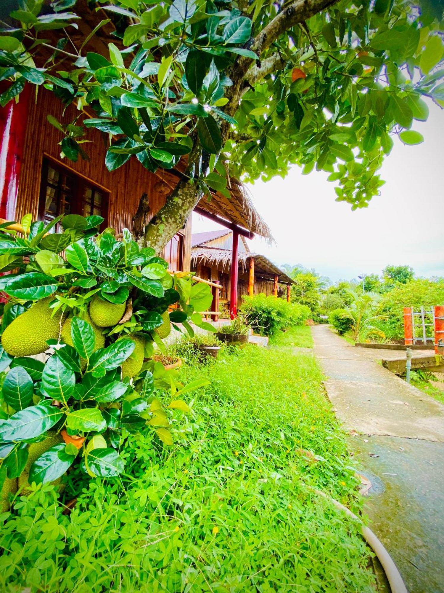 Mekong Riverside Homestay Vĩnh Long Zewnętrze zdjęcie